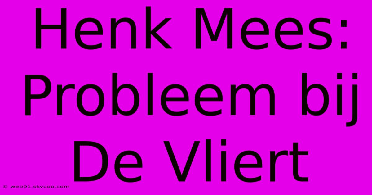 Henk Mees: Probleem Bij De Vliert