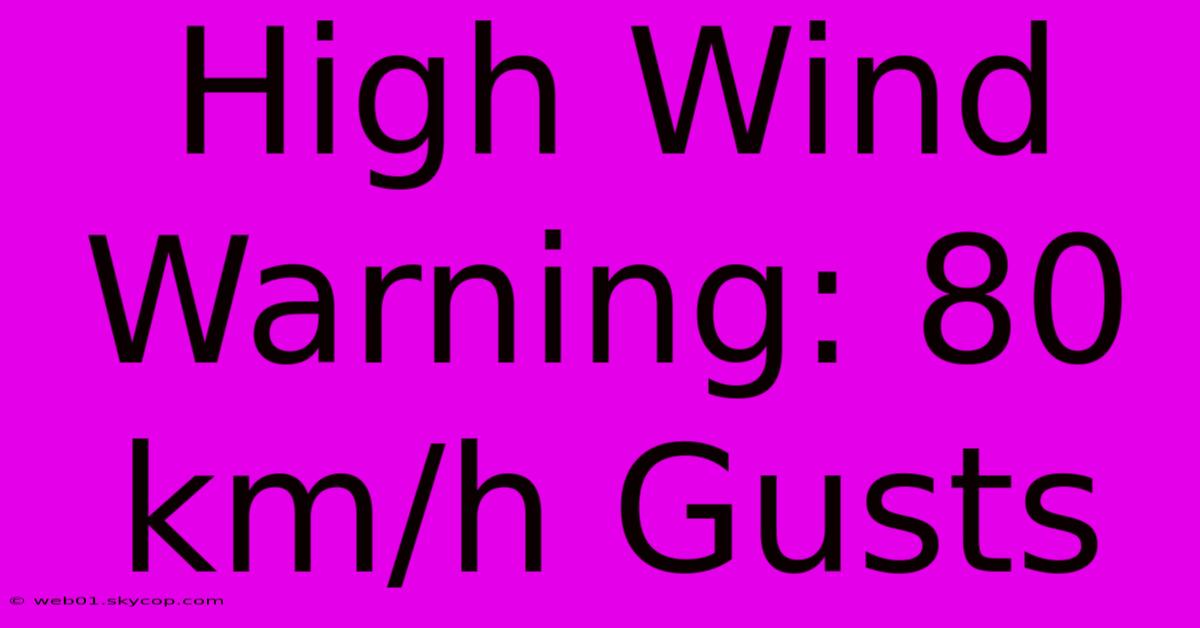 High Wind Warning: 80 Km/h Gusts