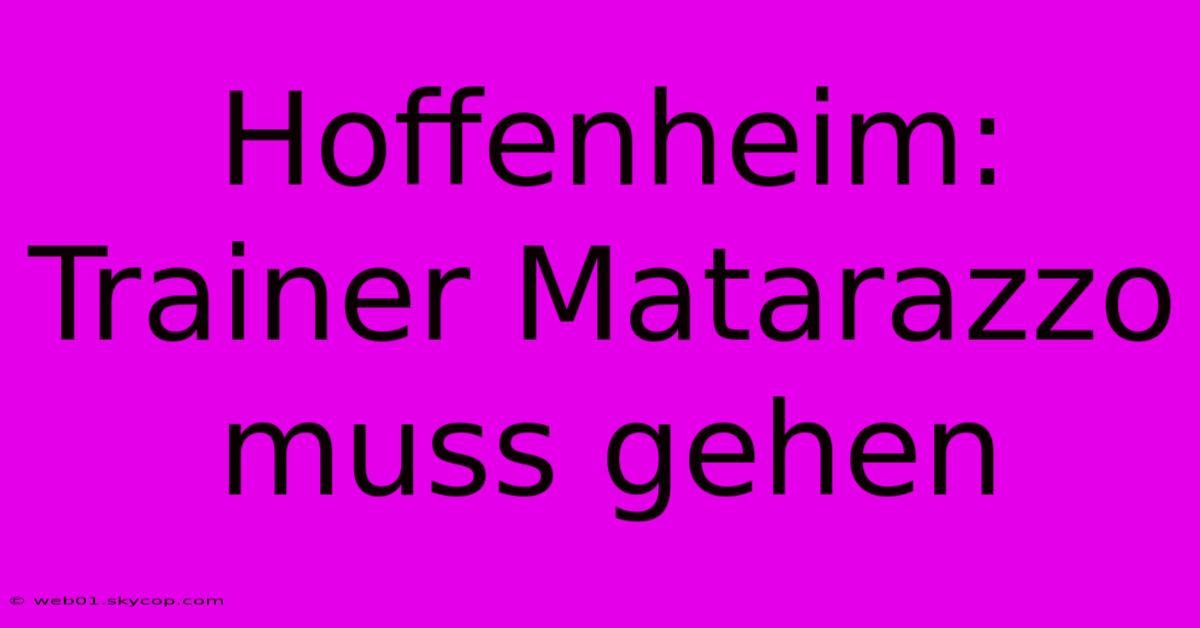 Hoffenheim: Trainer Matarazzo Muss Gehen