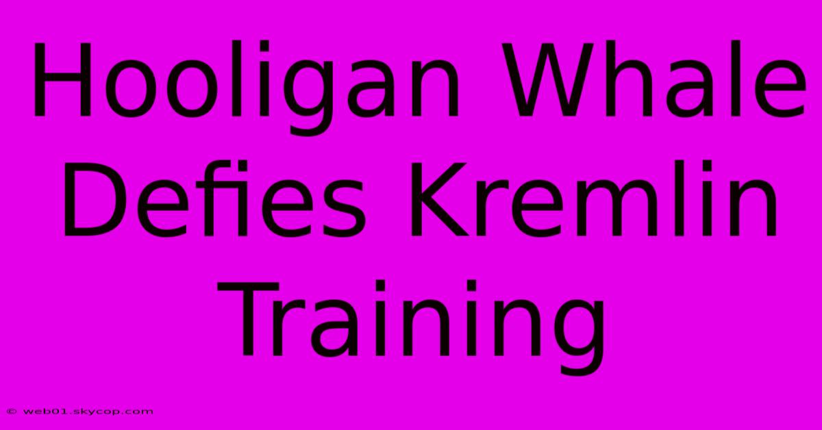 Hooligan Whale Defies Kremlin Training