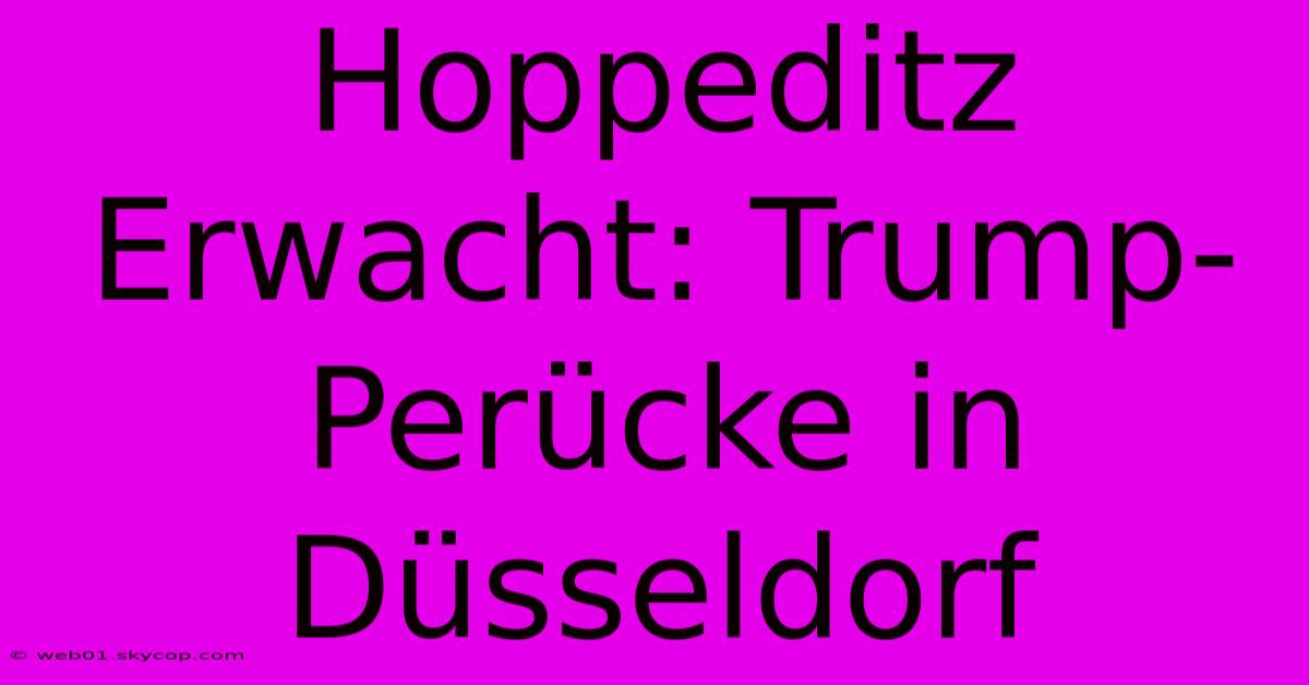 Hoppeditz Erwacht: Trump-Perücke In Düsseldorf 