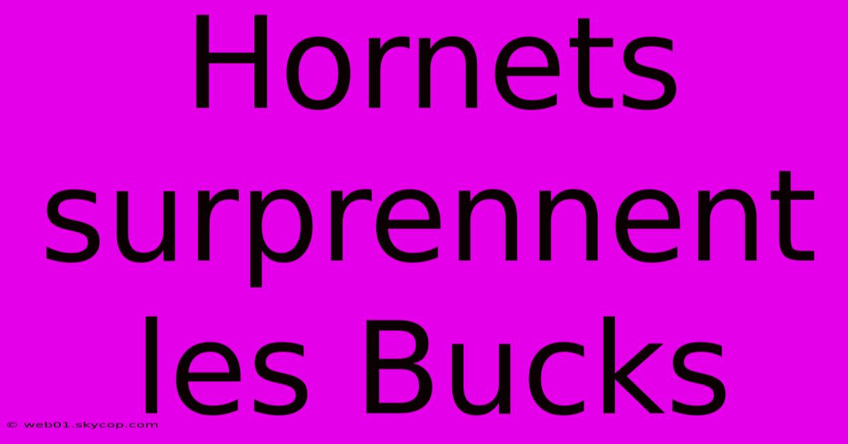 Hornets Surprennent Les Bucks