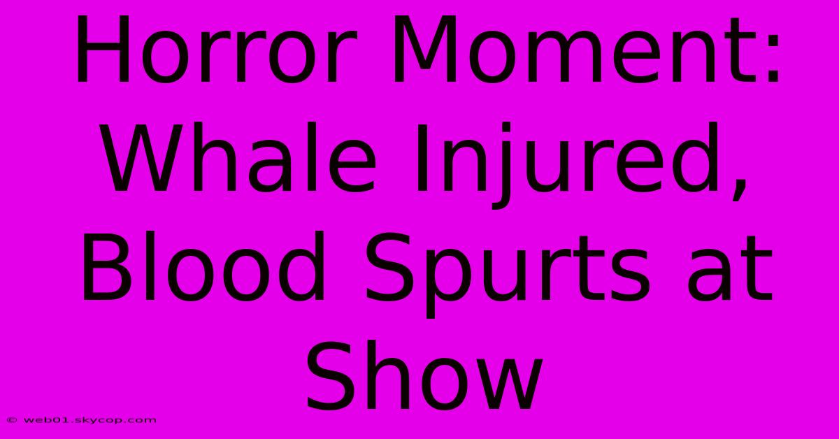 Horror Moment: Whale Injured, Blood Spurts At Show