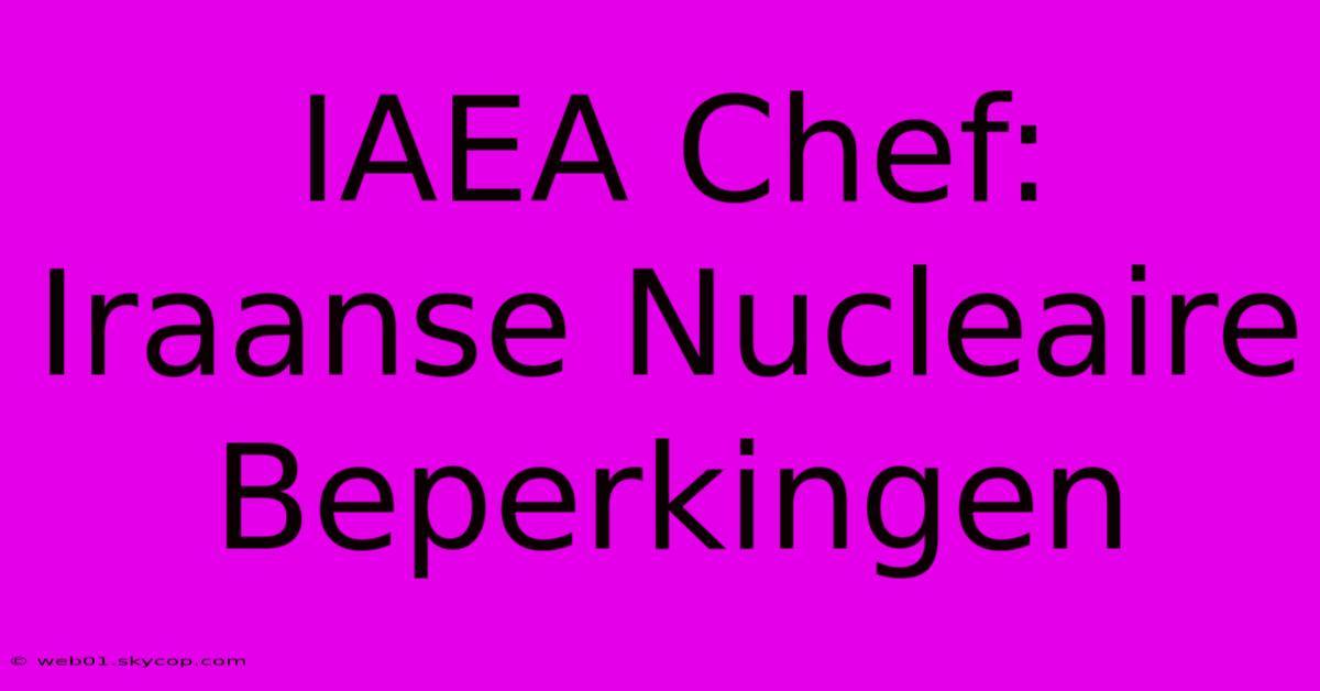 IAEA Chef: Iraanse Nucleaire Beperkingen