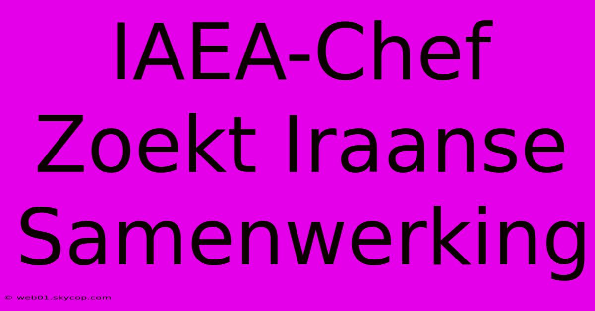 IAEA-Chef Zoekt Iraanse Samenwerking