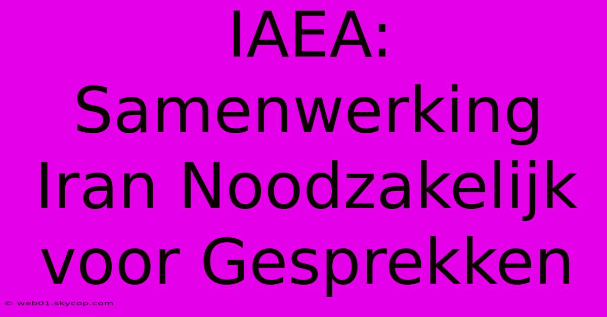 IAEA: Samenwerking Iran Noodzakelijk Voor Gesprekken 