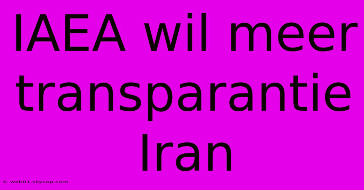 IAEA Wil Meer Transparantie Iran