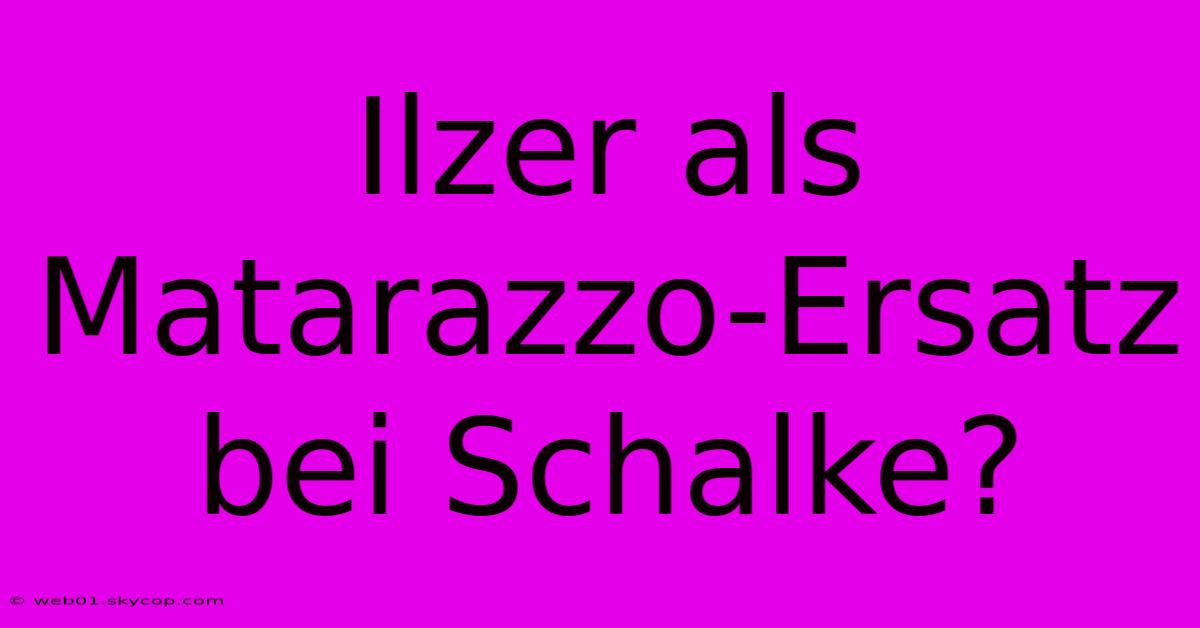 Ilzer Als Matarazzo-Ersatz Bei Schalke?