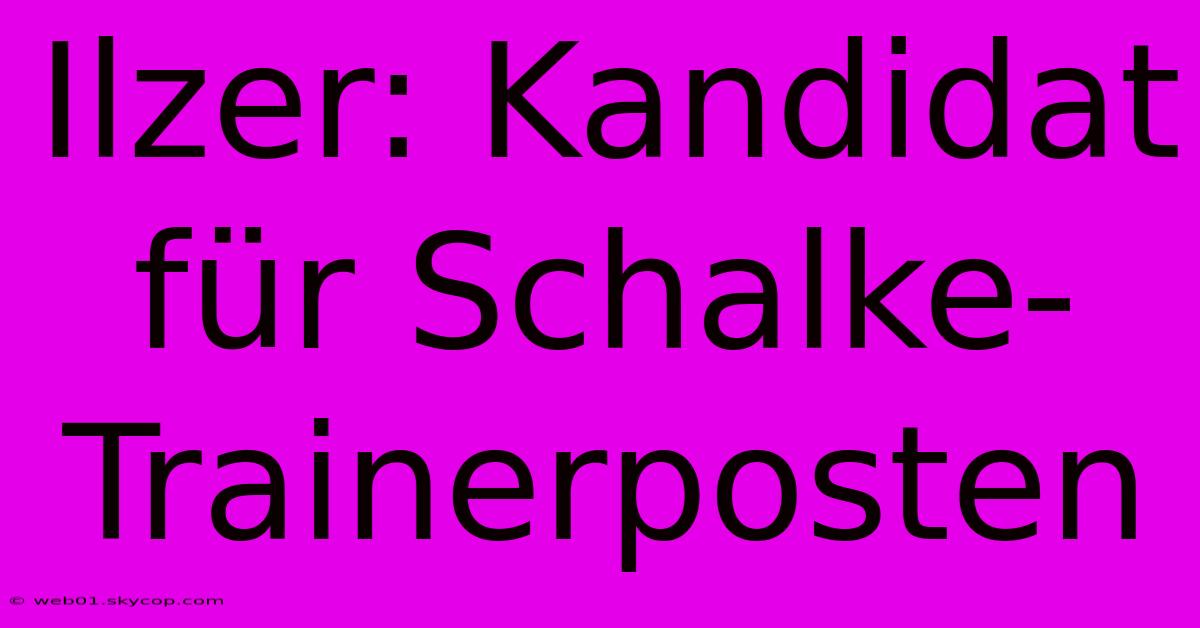 Ilzer: Kandidat Für Schalke-Trainerposten