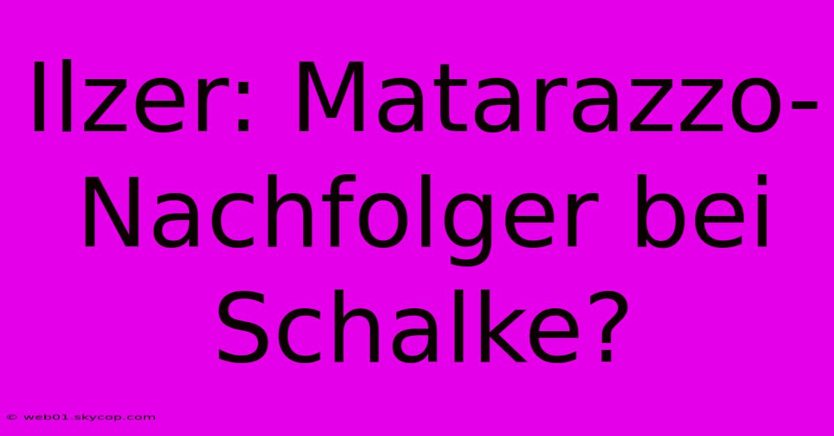 Ilzer: Matarazzo-Nachfolger Bei Schalke?