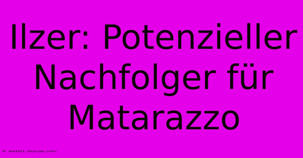 Ilzer: Potenzieller Nachfolger Für Matarazzo 