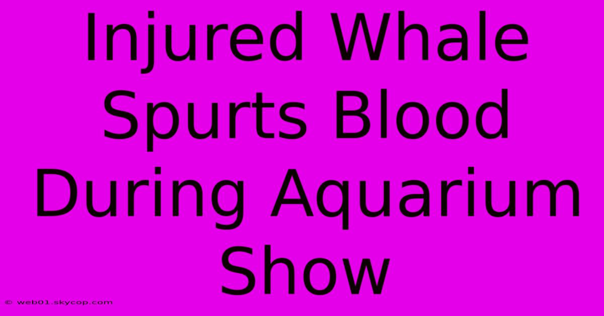 Injured Whale Spurts Blood During Aquarium Show