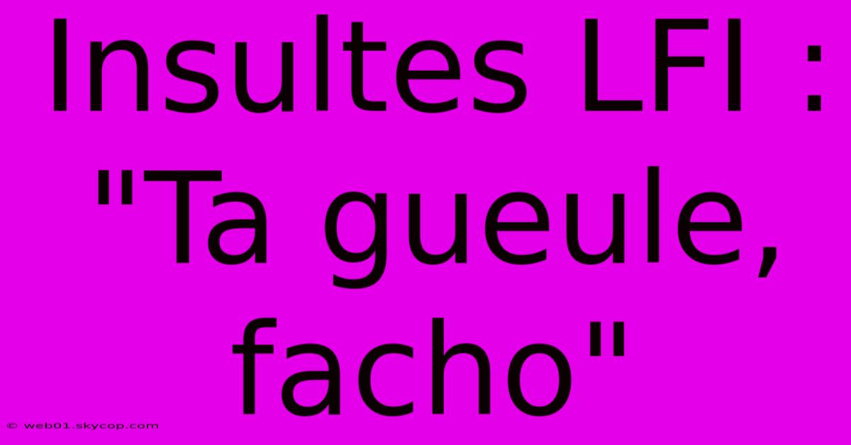 Insultes LFI : 