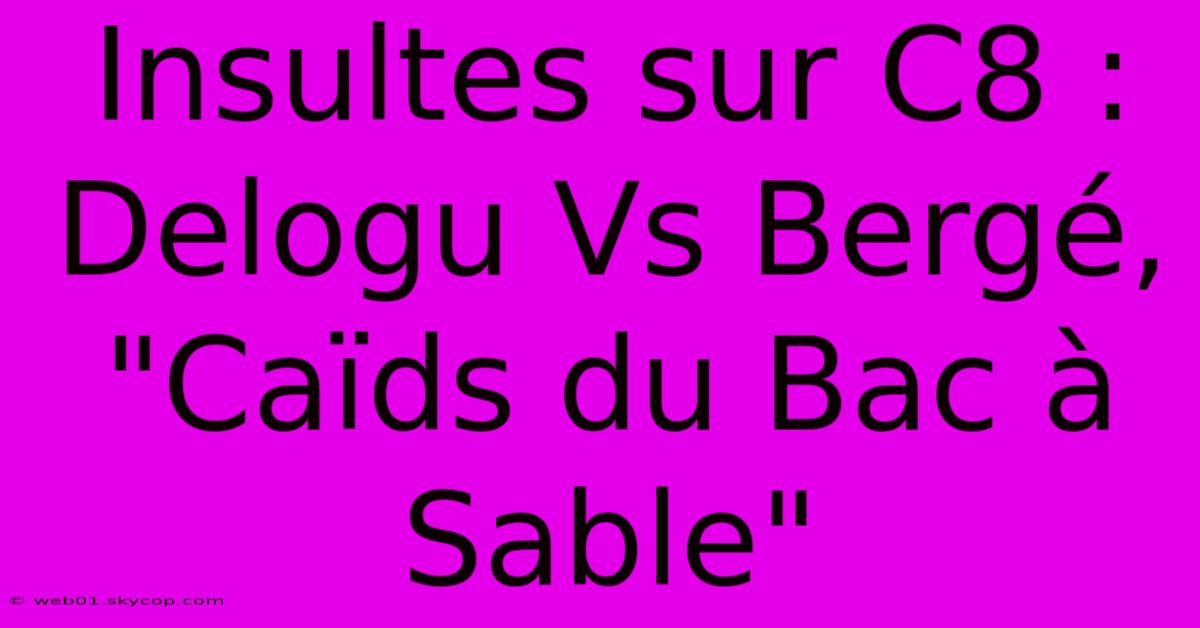 Insultes Sur C8 : Delogu Vs Bergé, 