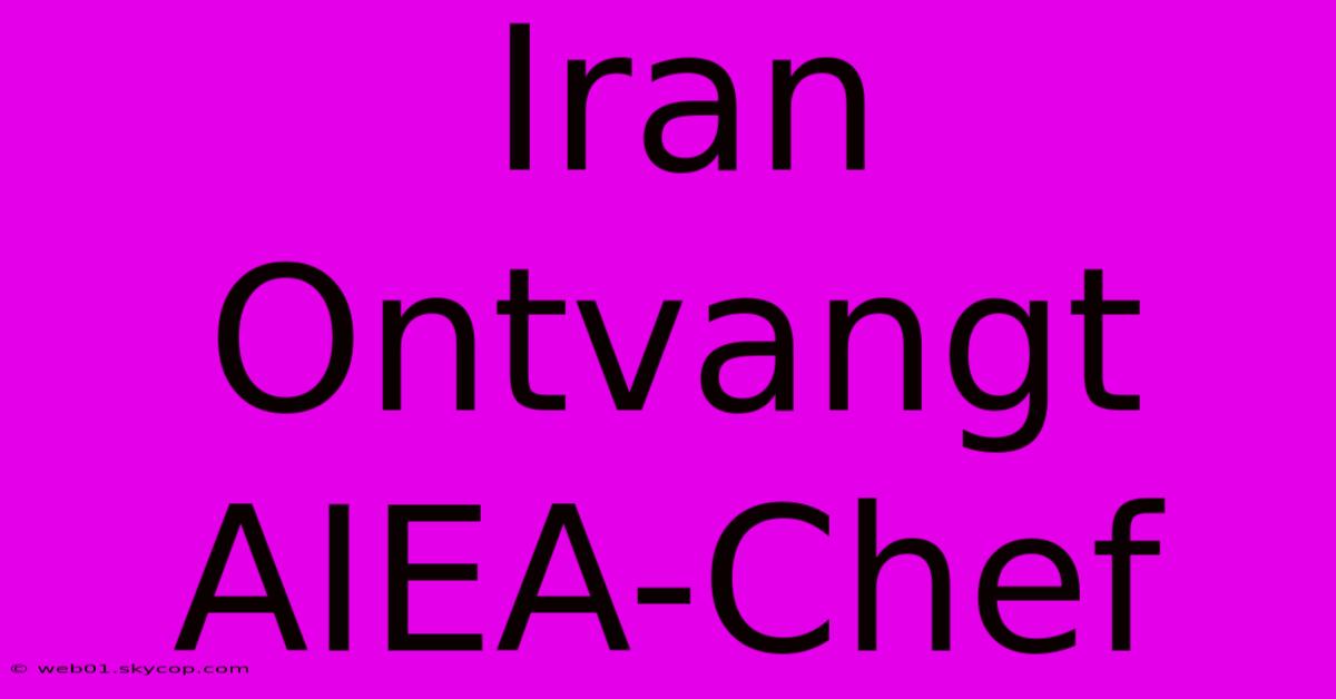 Iran Ontvangt AIEA-Chef