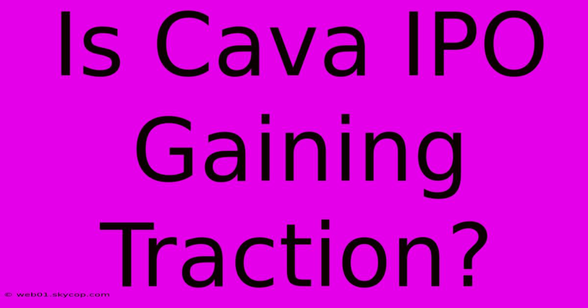 Is Cava IPO Gaining Traction?