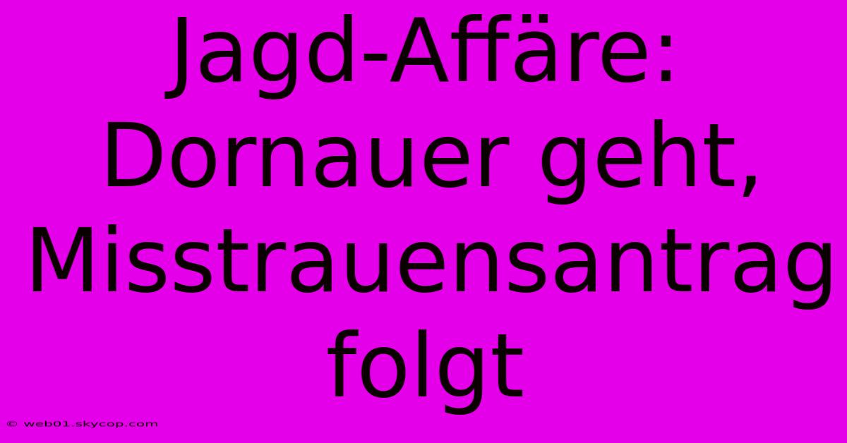 Jagd-Affäre: Dornauer Geht, Misstrauensantrag Folgt