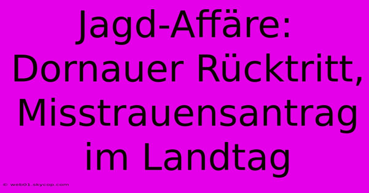 Jagd-Affäre: Dornauer Rücktritt, Misstrauensantrag Im Landtag 