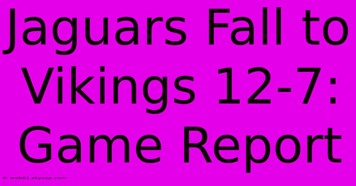 Jaguars Fall To Vikings 12-7: Game Report 