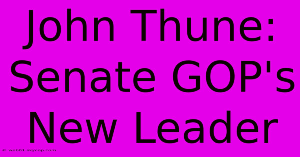 John Thune: Senate GOP's New Leader 