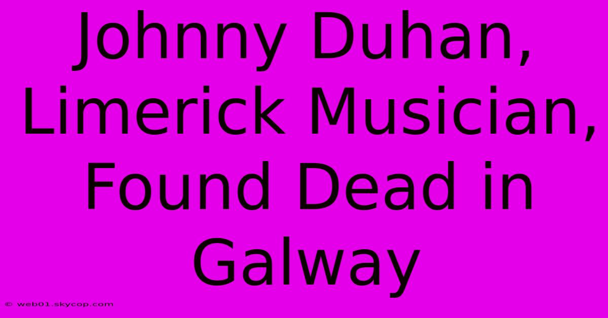 Johnny Duhan, Limerick Musician, Found Dead In Galway