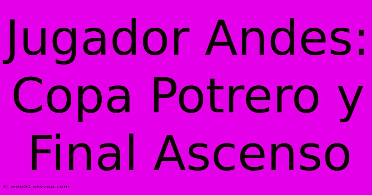 Jugador Andes: Copa Potrero Y Final Ascenso