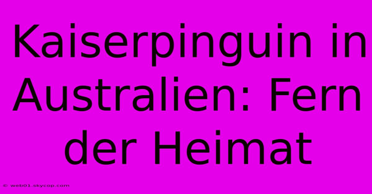 Kaiserpinguin In Australien: Fern Der Heimat