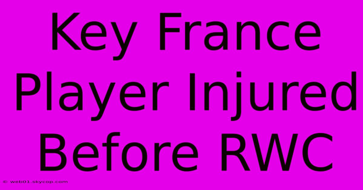 Key France Player Injured Before RWC