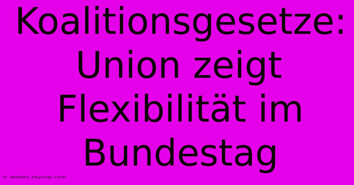 Koalitionsgesetze: Union Zeigt Flexibilität Im Bundestag