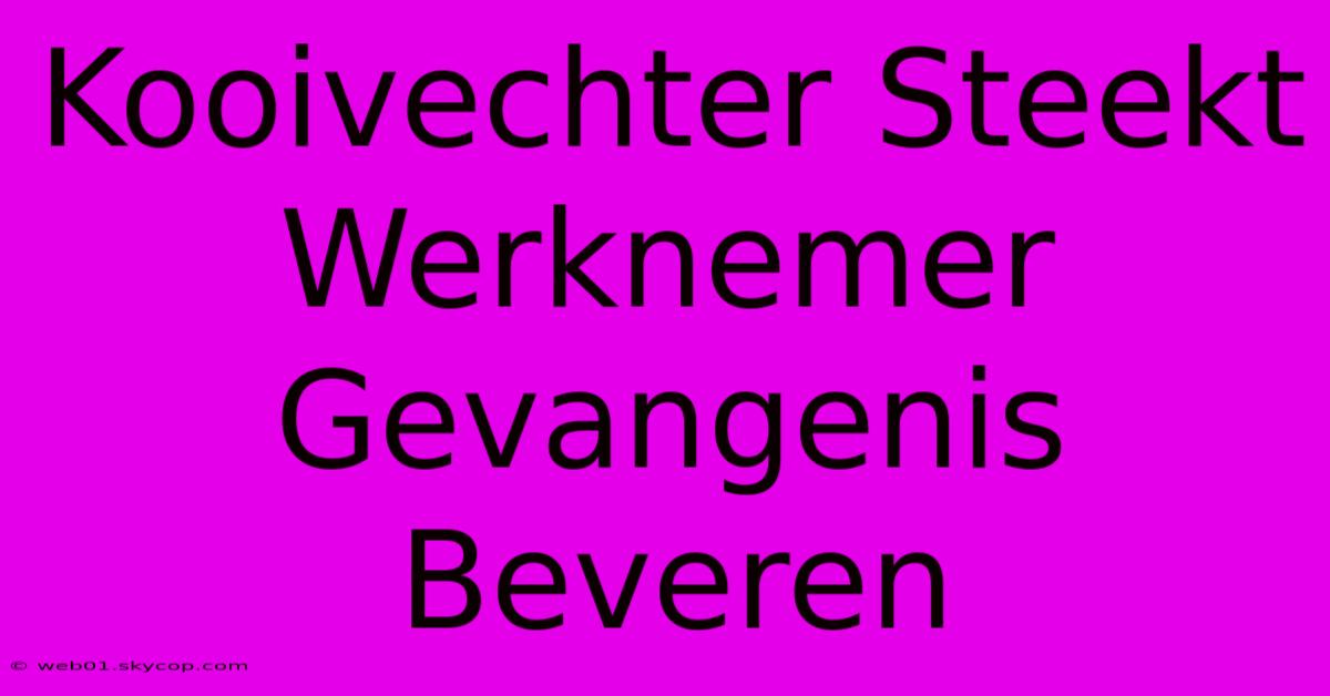 Kooivechter Steekt Werknemer Gevangenis Beveren