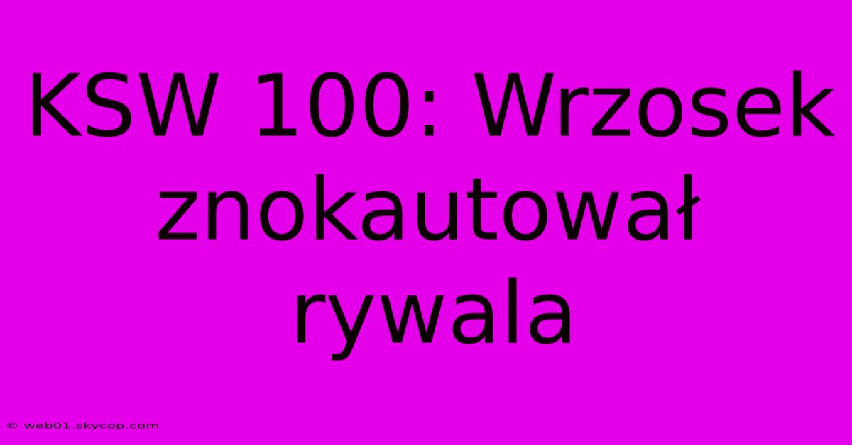 KSW 100: Wrzosek Znokautował Rywala