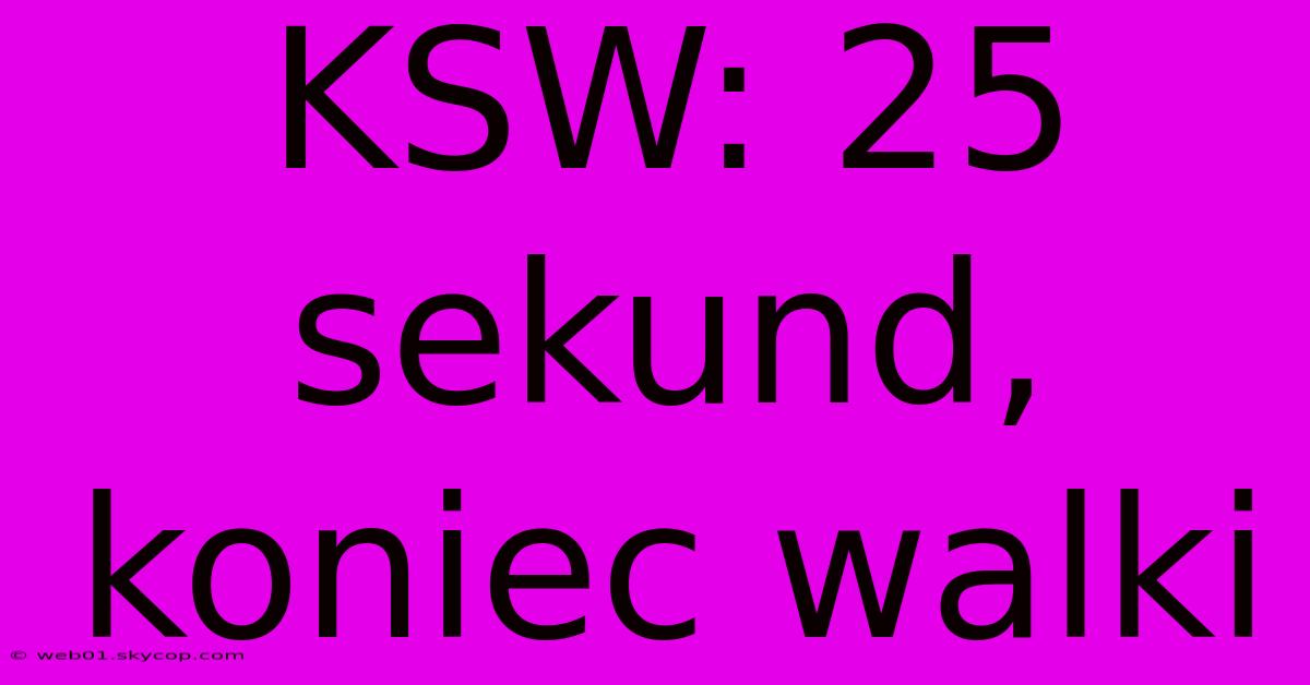 KSW: 25 Sekund, Koniec Walki