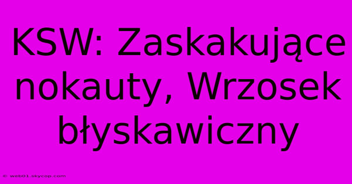 KSW: Zaskakujące Nokauty, Wrzosek Błyskawiczny