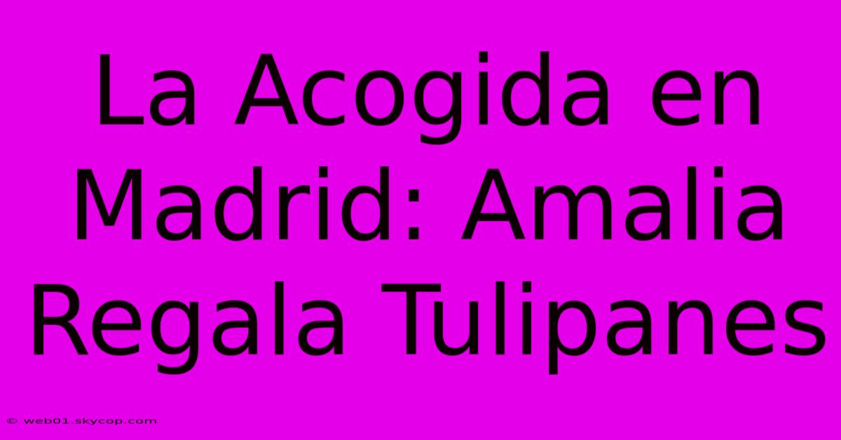 La Acogida En Madrid: Amalia Regala Tulipanes