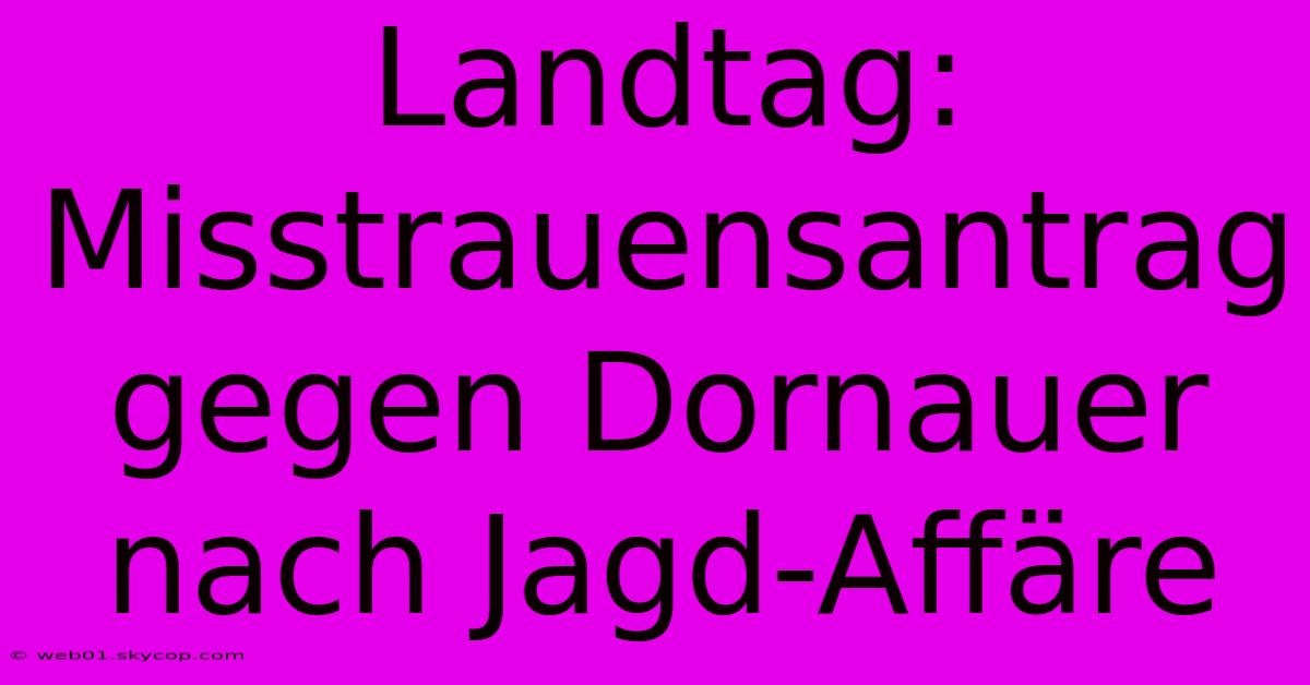 Landtag: Misstrauensantrag Gegen Dornauer Nach Jagd-Affäre