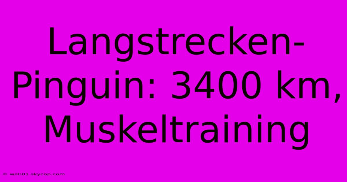 Langstrecken-Pinguin: 3400 Km, Muskeltraining 