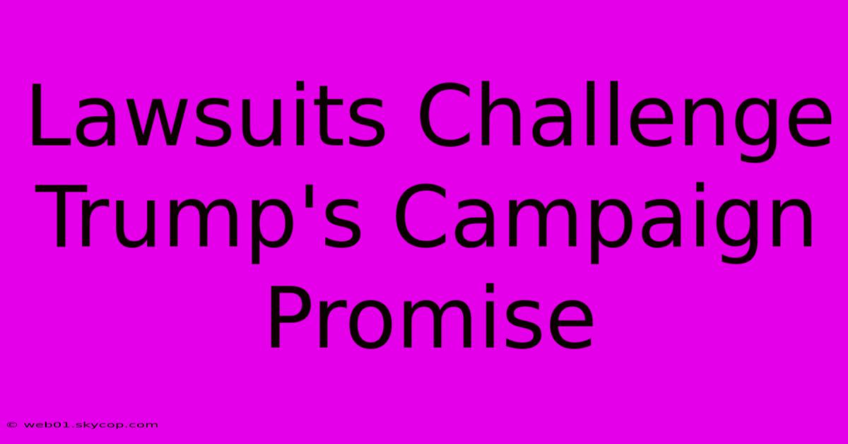 Lawsuits Challenge Trump's Campaign Promise 