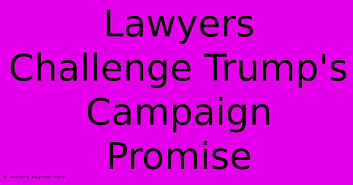 Lawyers Challenge Trump's Campaign Promise