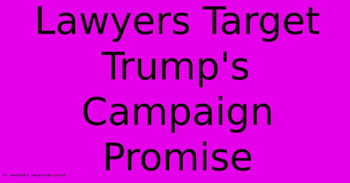 Lawyers Target Trump's Campaign Promise