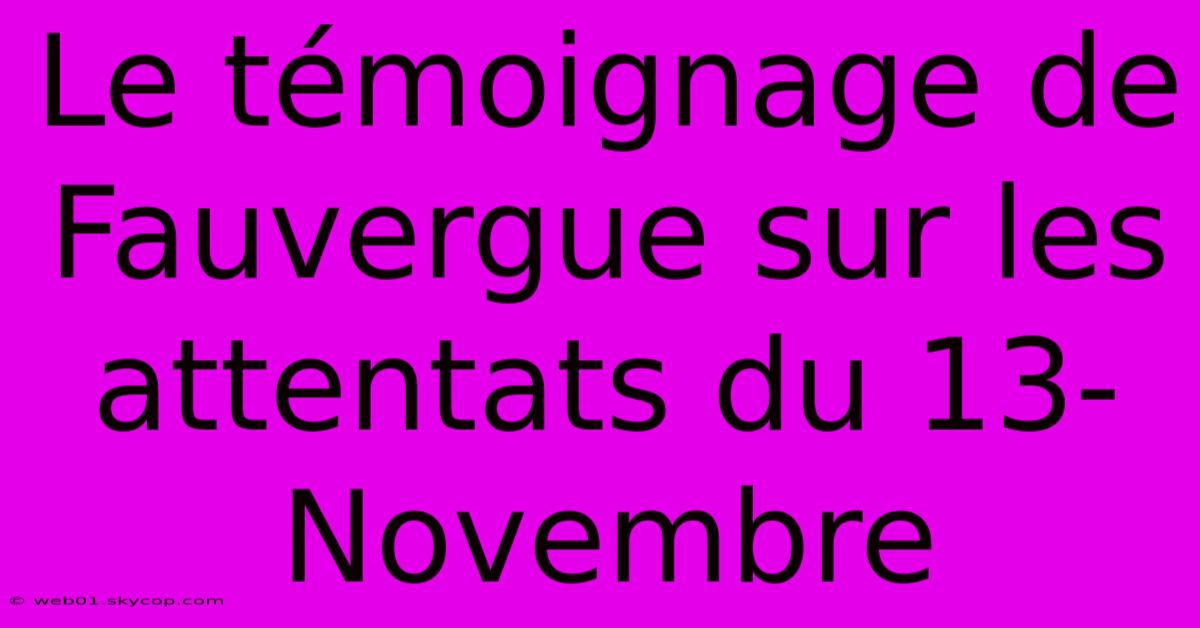 Le Témoignage De Fauvergue Sur Les Attentats Du 13-Novembre 