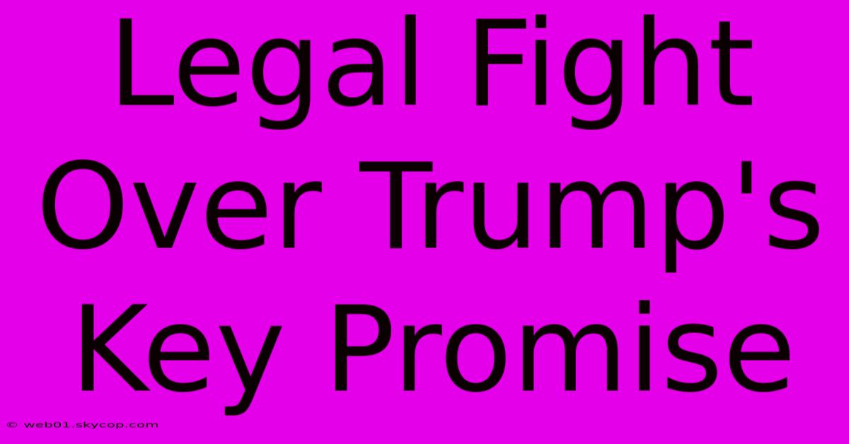 Legal Fight Over Trump's Key Promise 