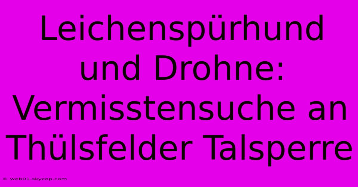 Leichenspürhund Und Drohne: Vermisstensuche An Thülsfelder Talsperre