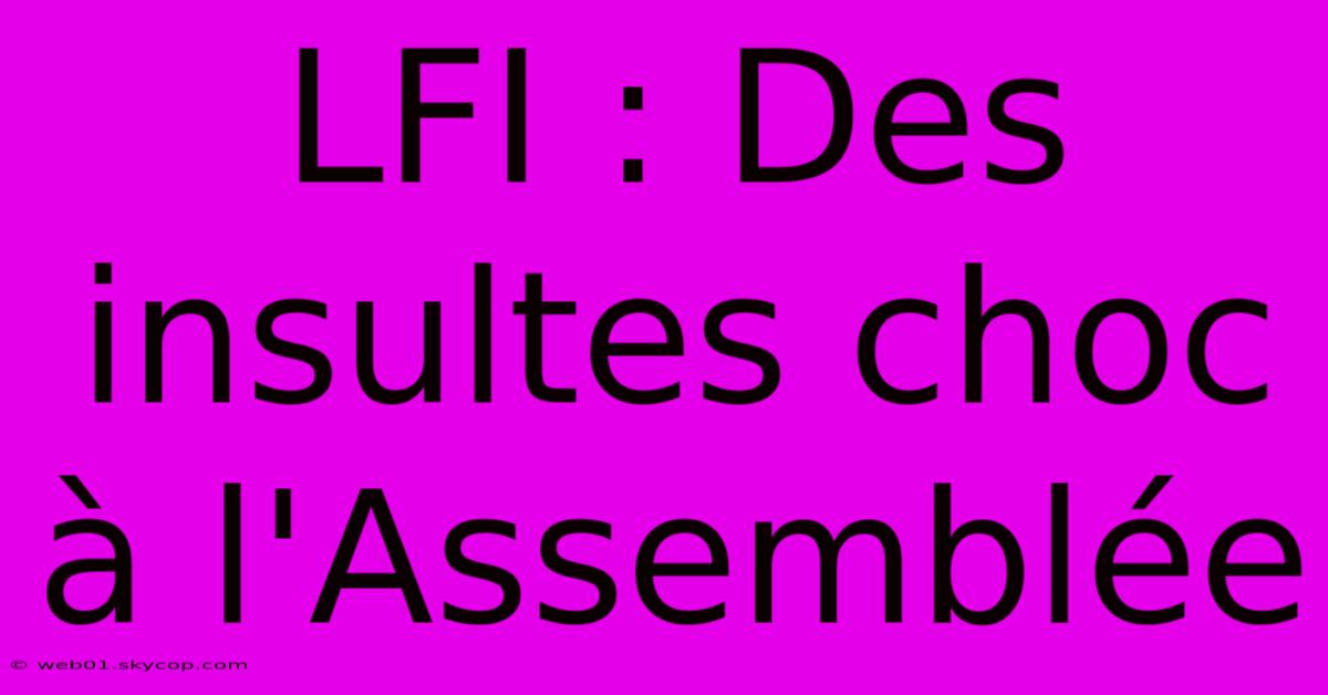 LFI : Des Insultes Choc À L'Assemblée