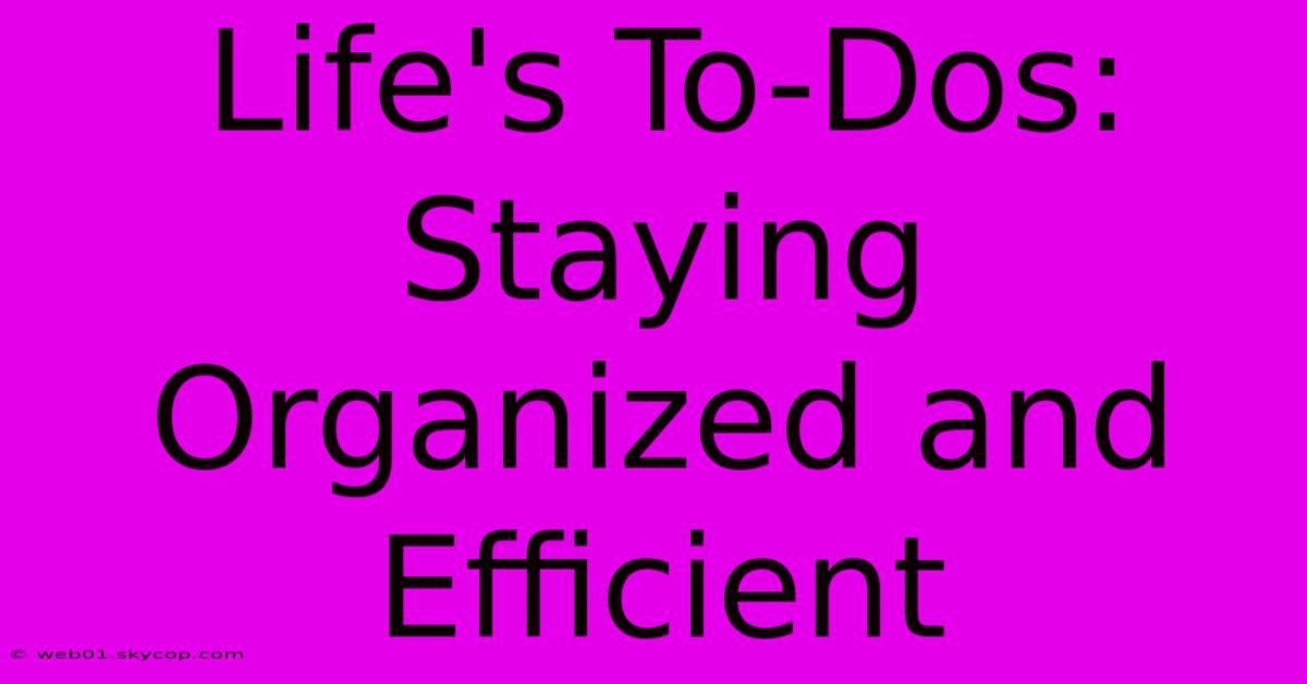 Life's To-Dos:  Staying Organized And Efficient