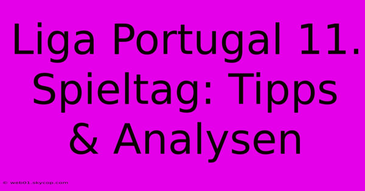 Liga Portugal 11. Spieltag: Tipps & Analysen