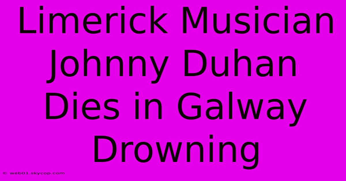 Limerick Musician Johnny Duhan Dies In Galway Drowning