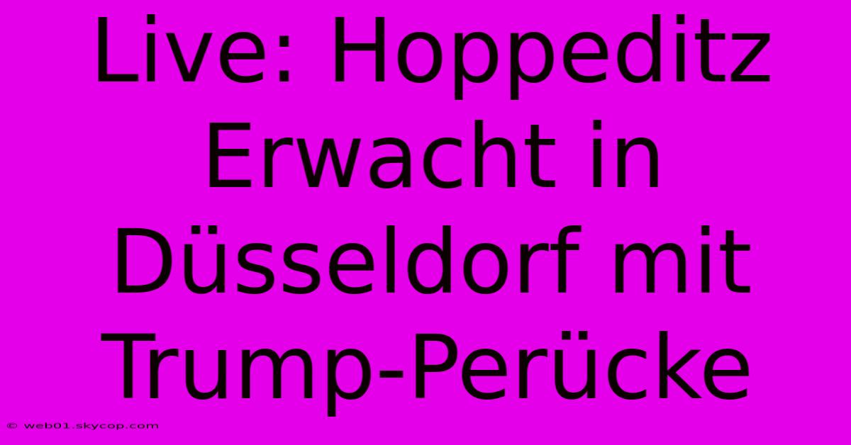 Live: Hoppeditz Erwacht In Düsseldorf Mit Trump-Perücke