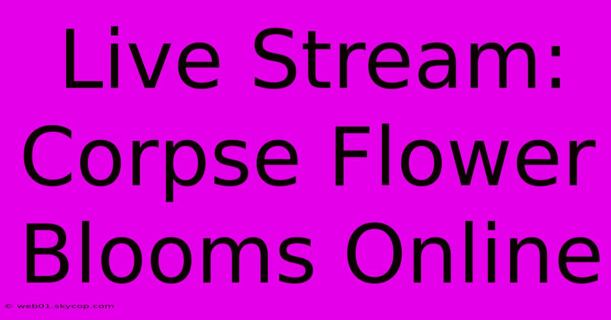 Live Stream: Corpse Flower Blooms Online 