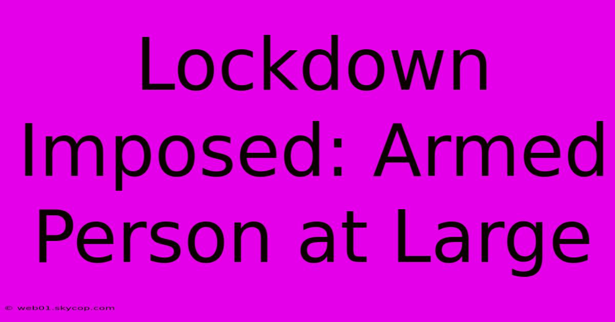 Lockdown Imposed: Armed Person At Large