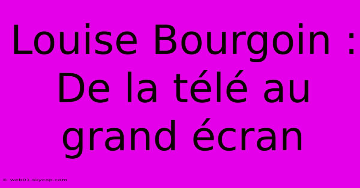 Louise Bourgoin : De La Télé Au Grand Écran